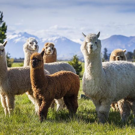 Criffel Station Farmstays Luggate Buitenkant foto